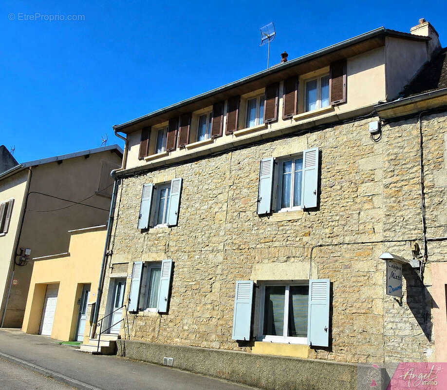 Immeuble de rapport a dole - 2 logements independants + garage + jardin - photo 2