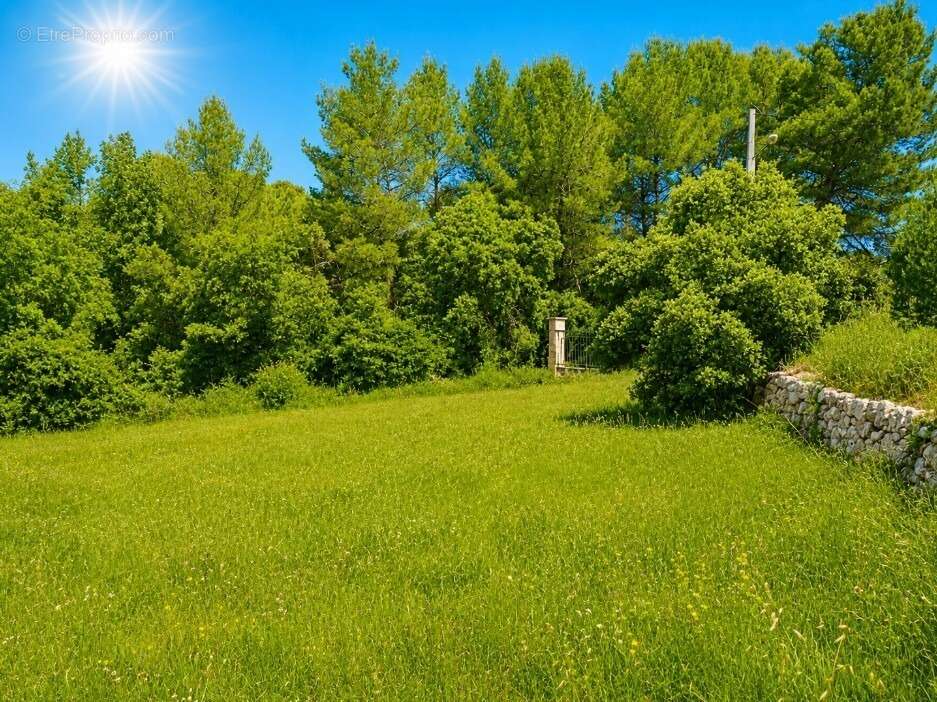 Terrain 300 m² à Lorgues  - photo 4