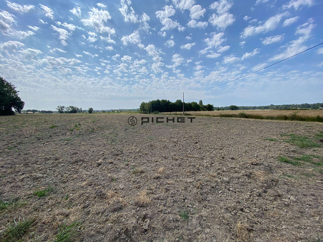 Terrain agricole Arveyres 51 890 m2 - photo 3