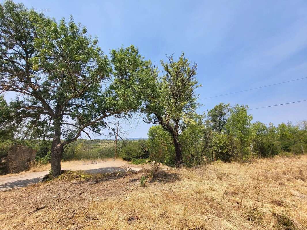 Terrain constructible de 1 071 m² – Vue exceptionnelle – - photo 3