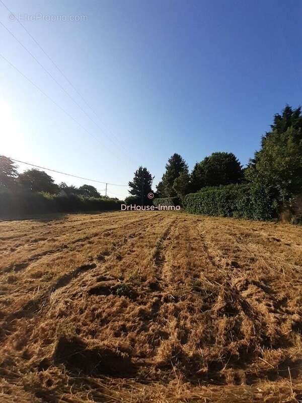 Terrain à BEAUMONT-LE-ROGER