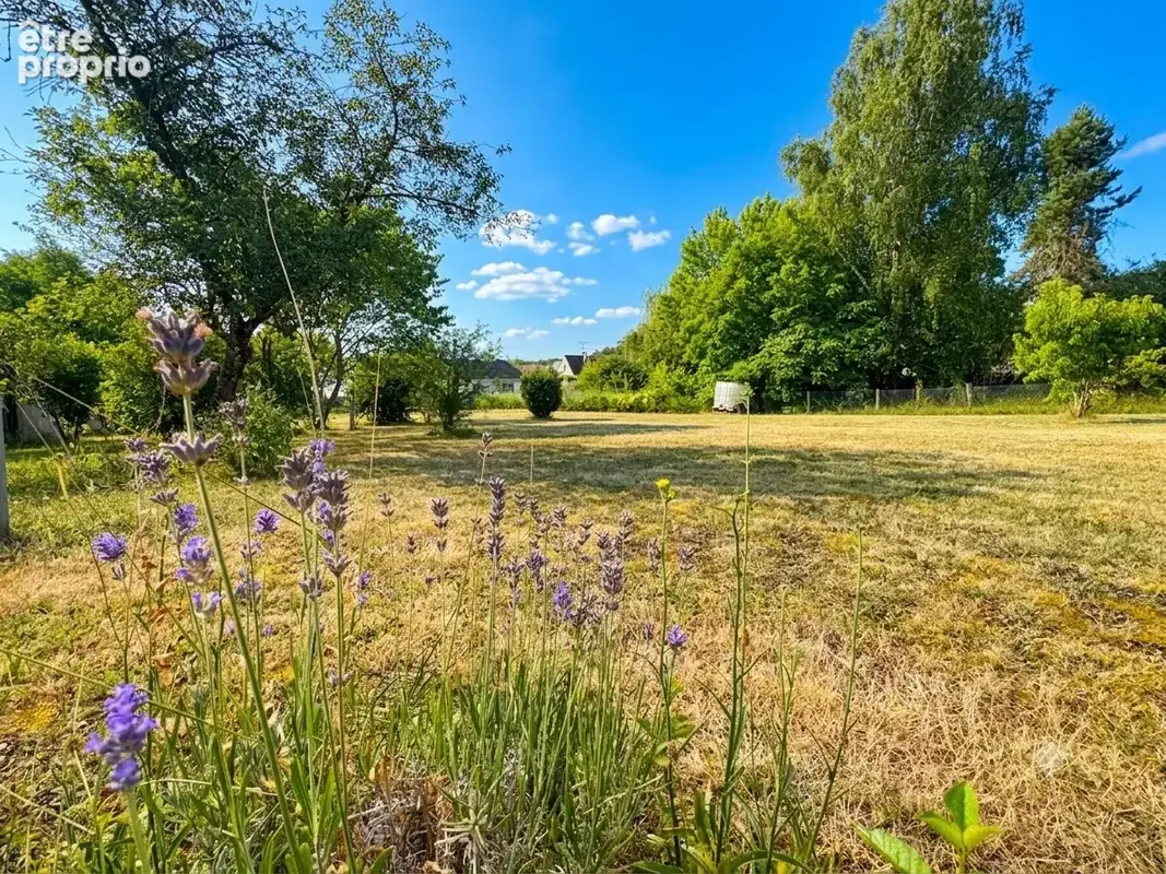 Chevillon sur huillard, commerces, ecoles, dependances, sans travaux, 10mn montargis - photo 26