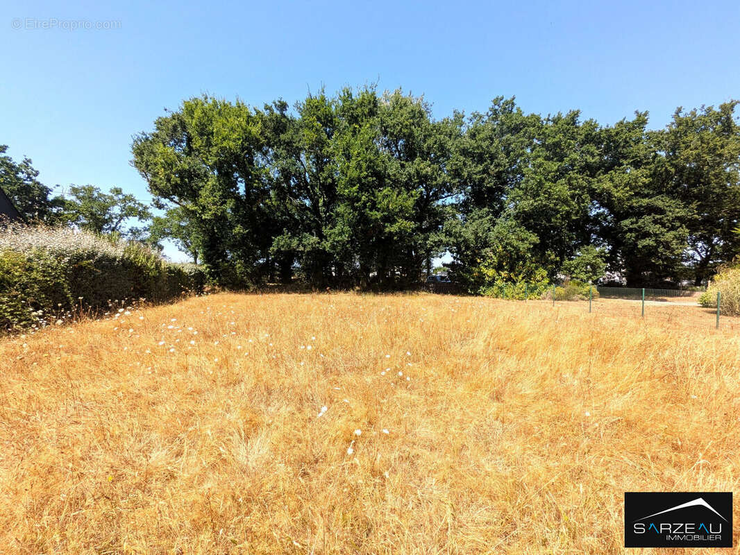 Terrain 529 m² à Le Tour-Du-Parc  - photo 2