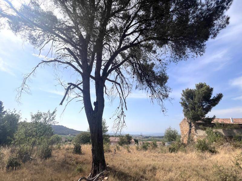 Terrain à BOUTENAC