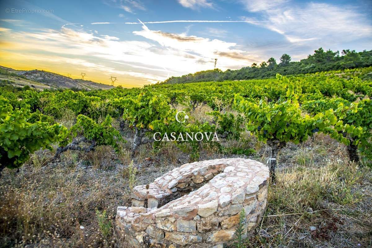 Maison à SAINT-CHINIAN