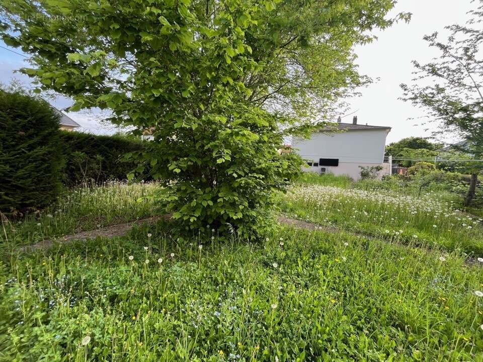Terrain 234 m² à Yutz  - photo 2