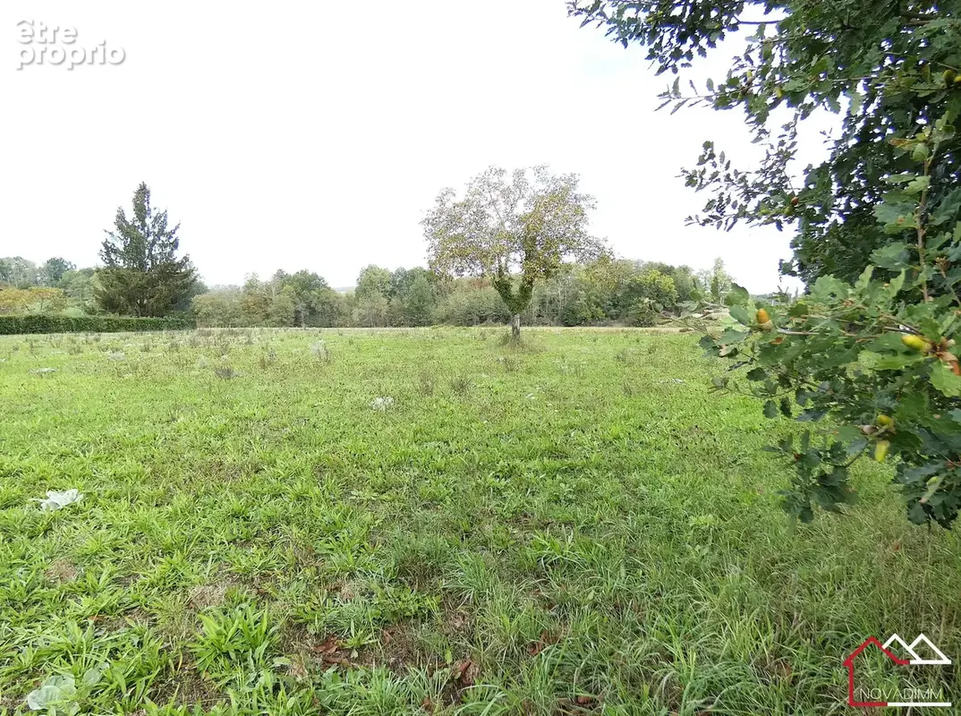 Terrain 3 230 m² à vendre à Saint-Privat-Des-Pres (24410) - photo 1