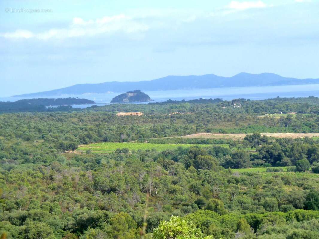 Terrain à LA LONDE-LES-MAURES