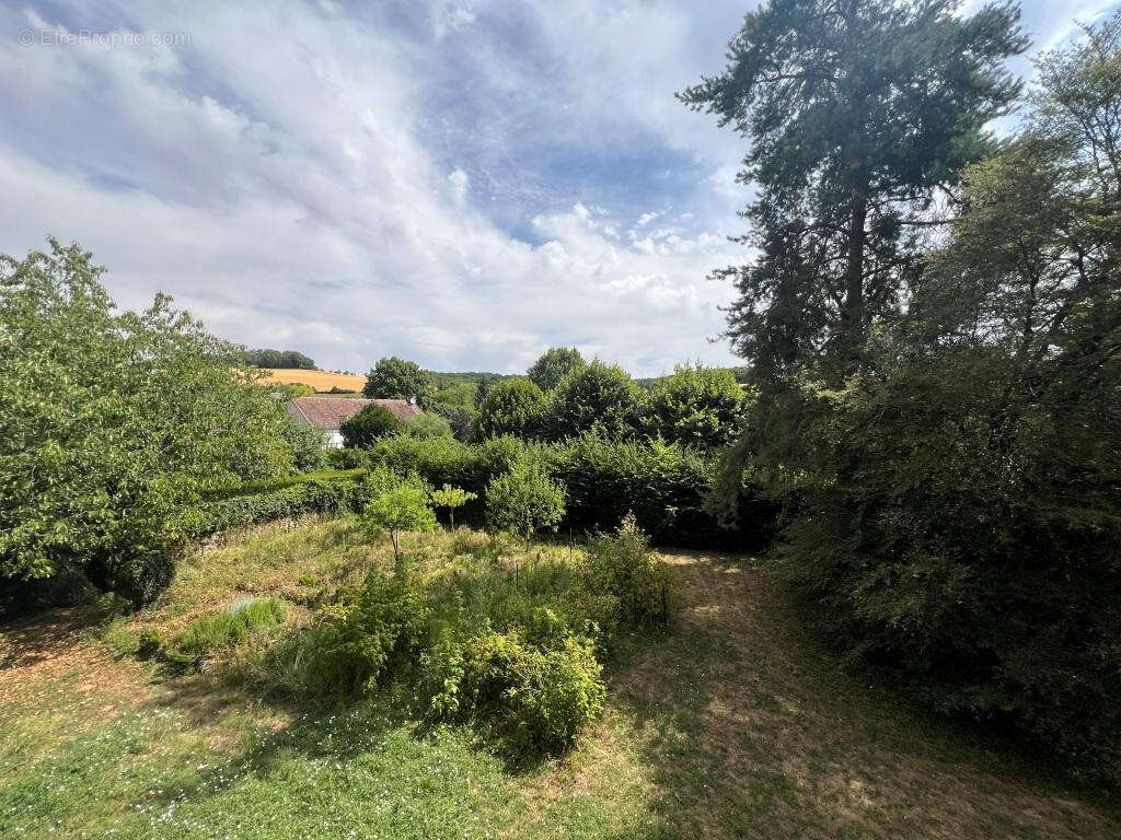 Maison 240 m² à Villiers-Louis  - photo 12