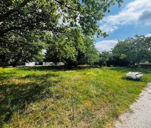 Terrain à SAINT-PARDON-DE-CONQUES