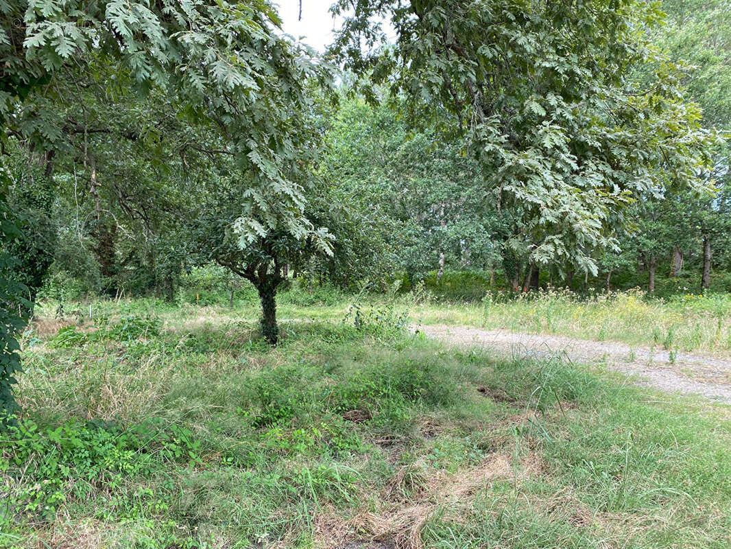 Terrain à RION-DES-LANDES