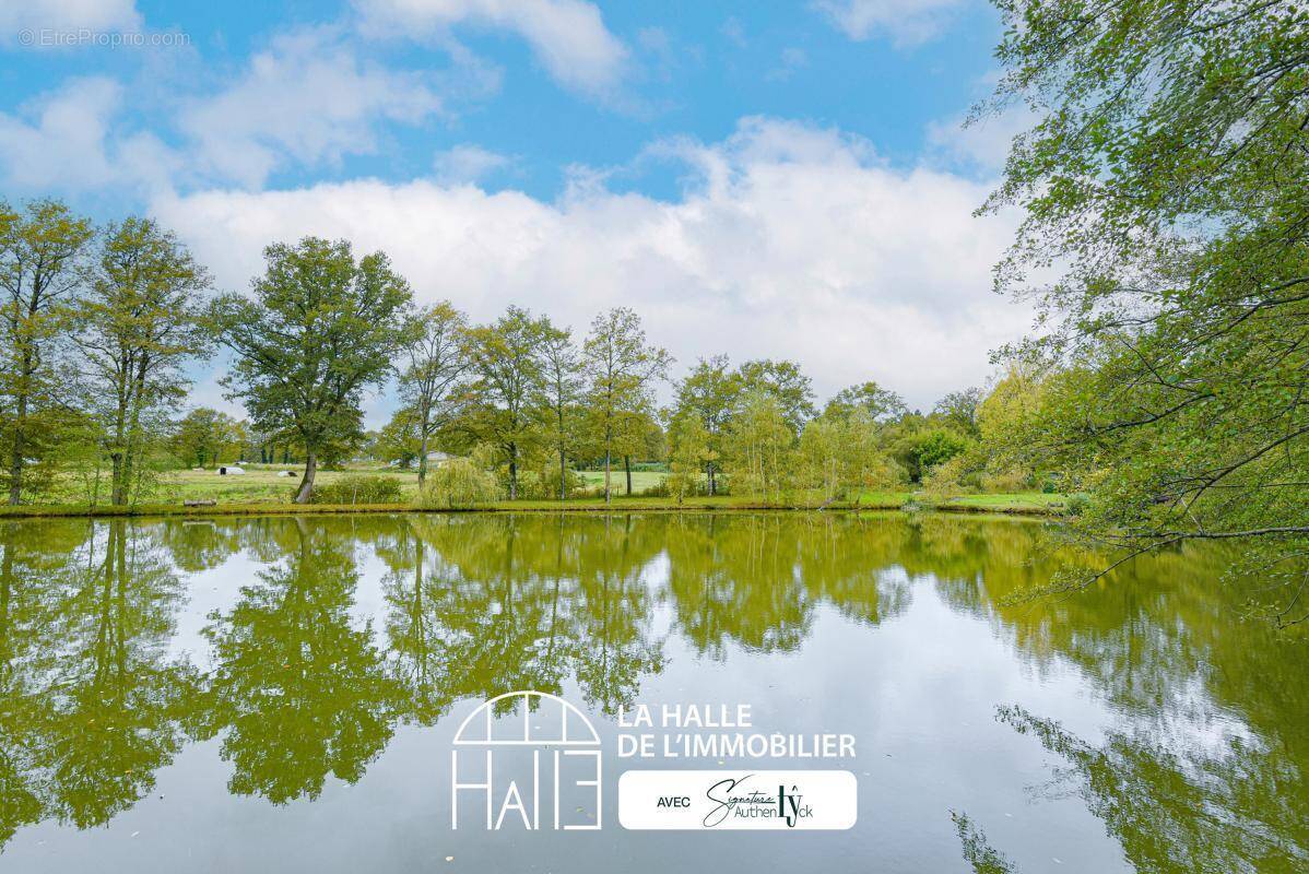 Terrain à SAINT-AUVENT