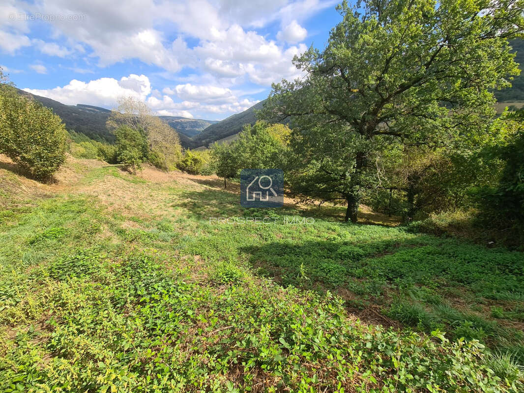 Maison 5 pièces avec terrain - photo 4