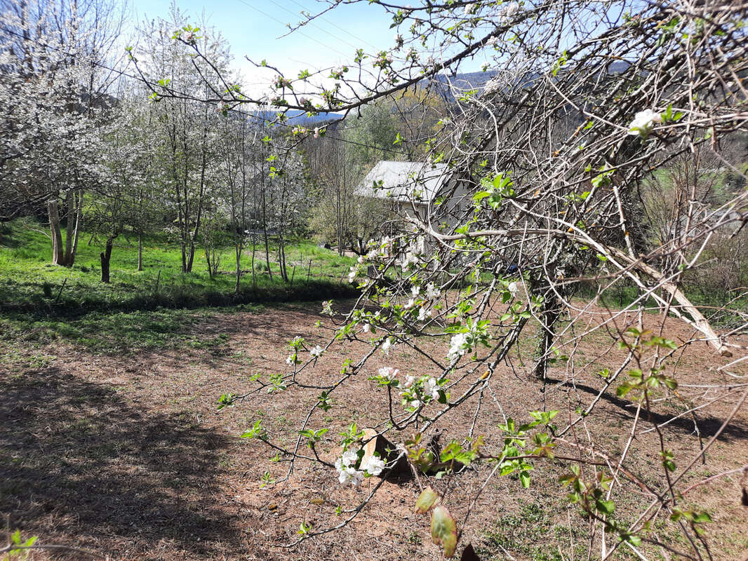 Terrain à SAINT-JEAN-DU-BRUEL