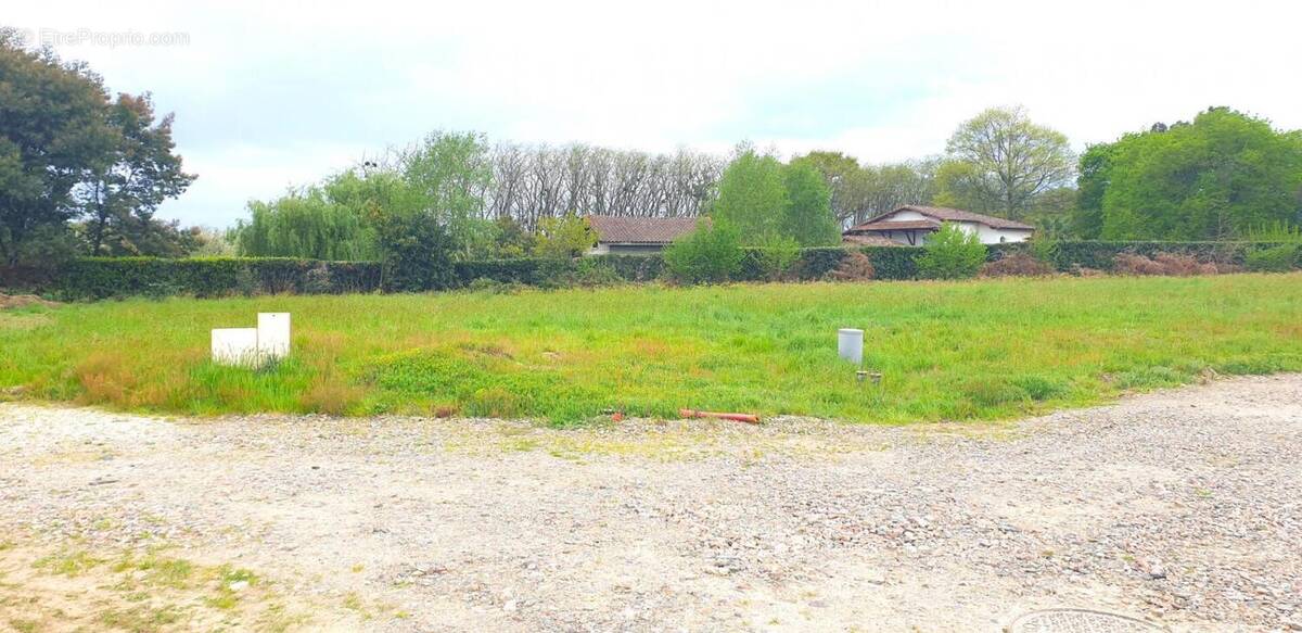 Terrain à CARCARES-SAINTE-CROIX