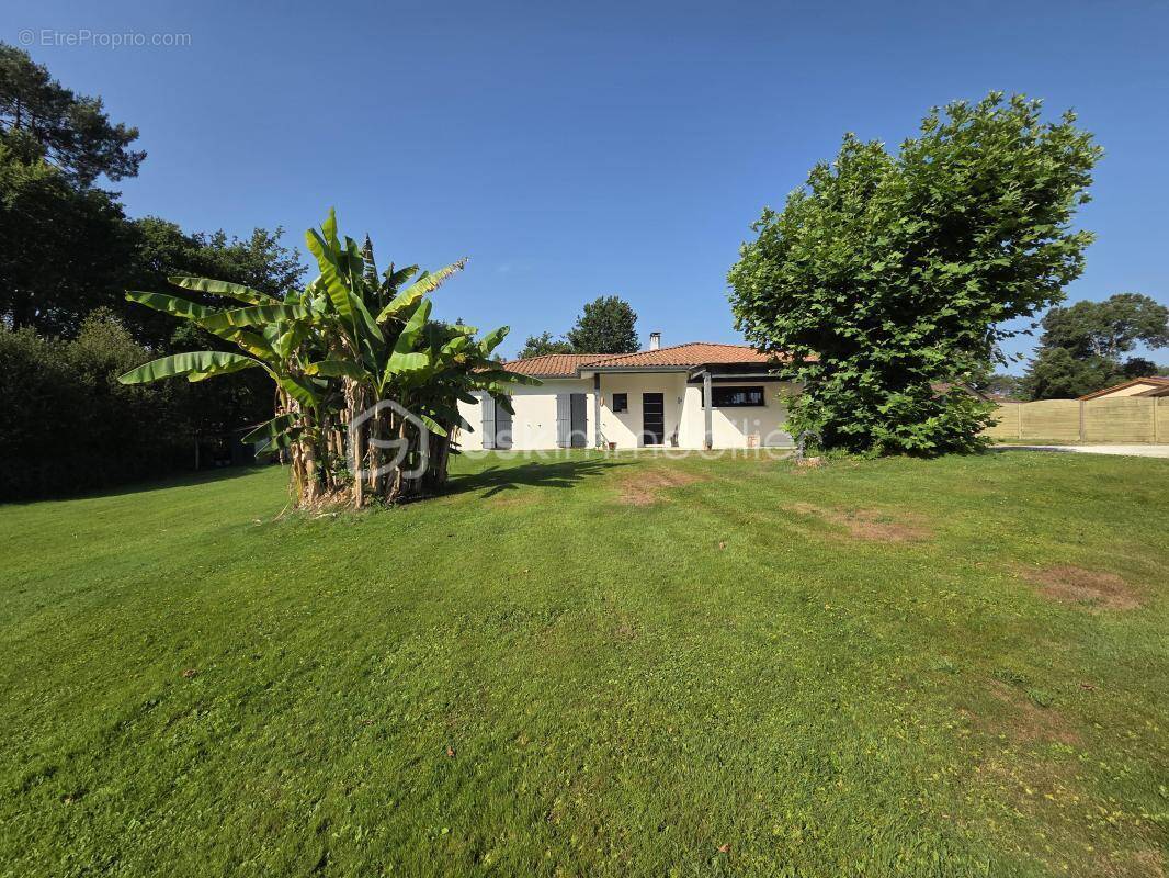Maison à CASTETS