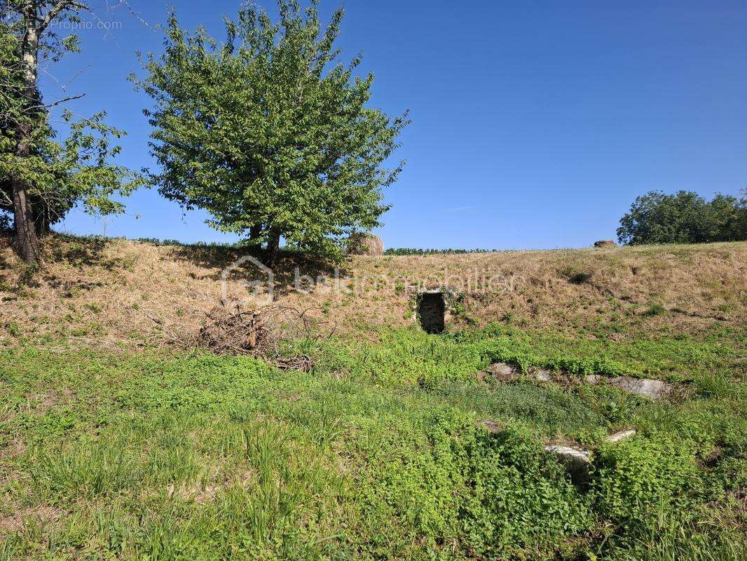 Terrain à bâtir 1490 m² – Mérignas (33350) - photo 4