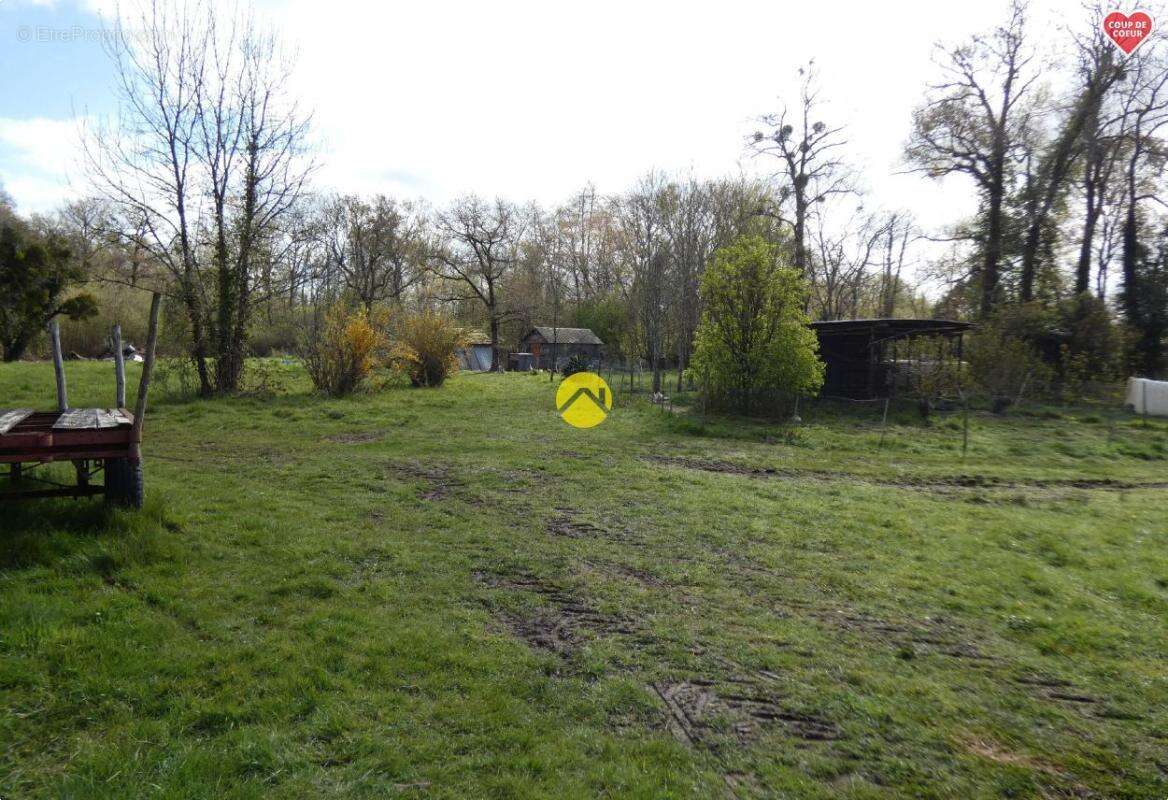 Maison à ARGENT-SUR-SAULDRE