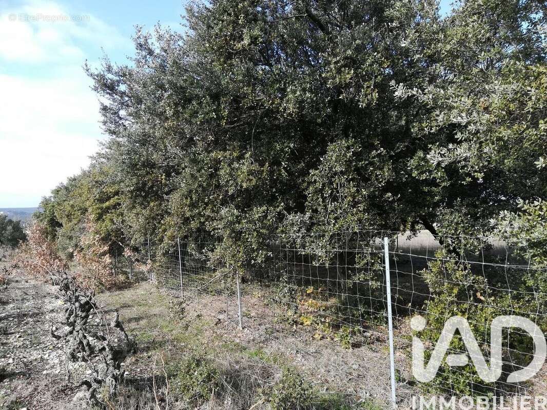 Photo 8 - Terrain à SAINTE-CECILE-LES-VIGNES