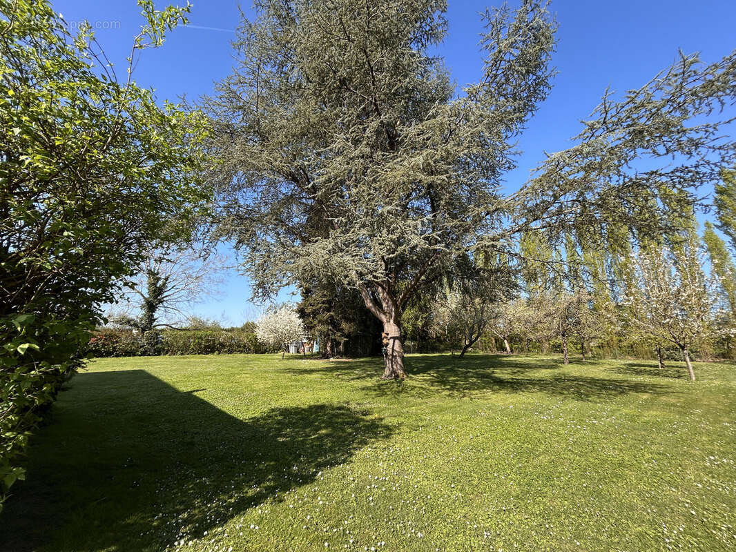 Maison à SENNEVIERES