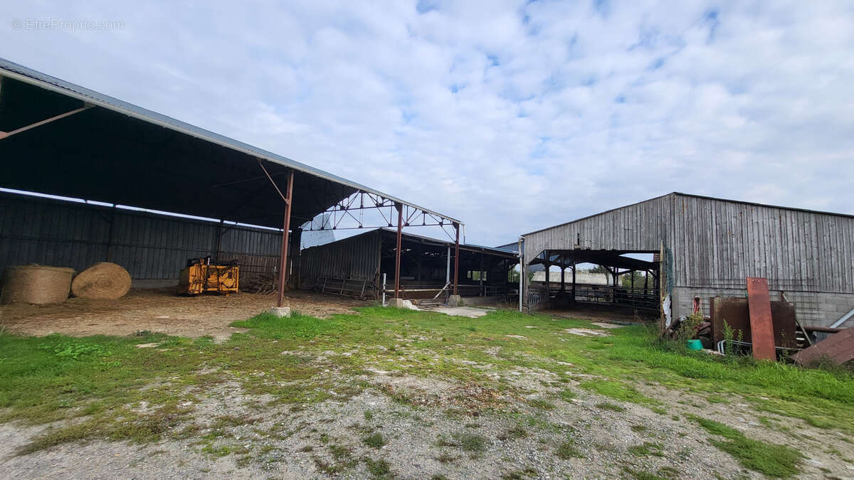 Maison à BONNOEUVRE