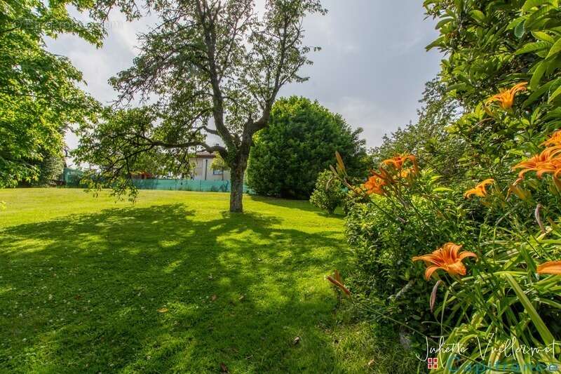 LA MOTTE SERVOLEX (73290) : Terrain de 1180 m², non viabilisé - photo 3