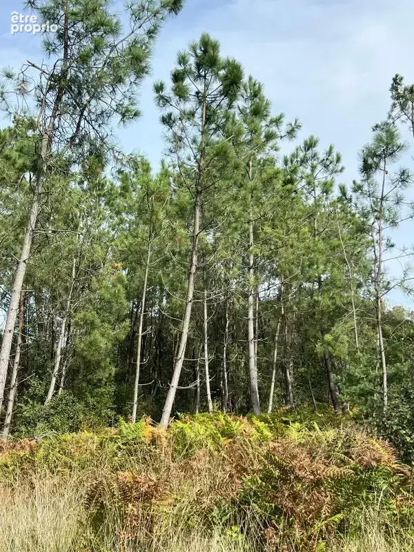 À vendre – argol – finistère – presqu’île de crozon-exceptionnel terrain de loisirs de 40 000 m² - photo 39