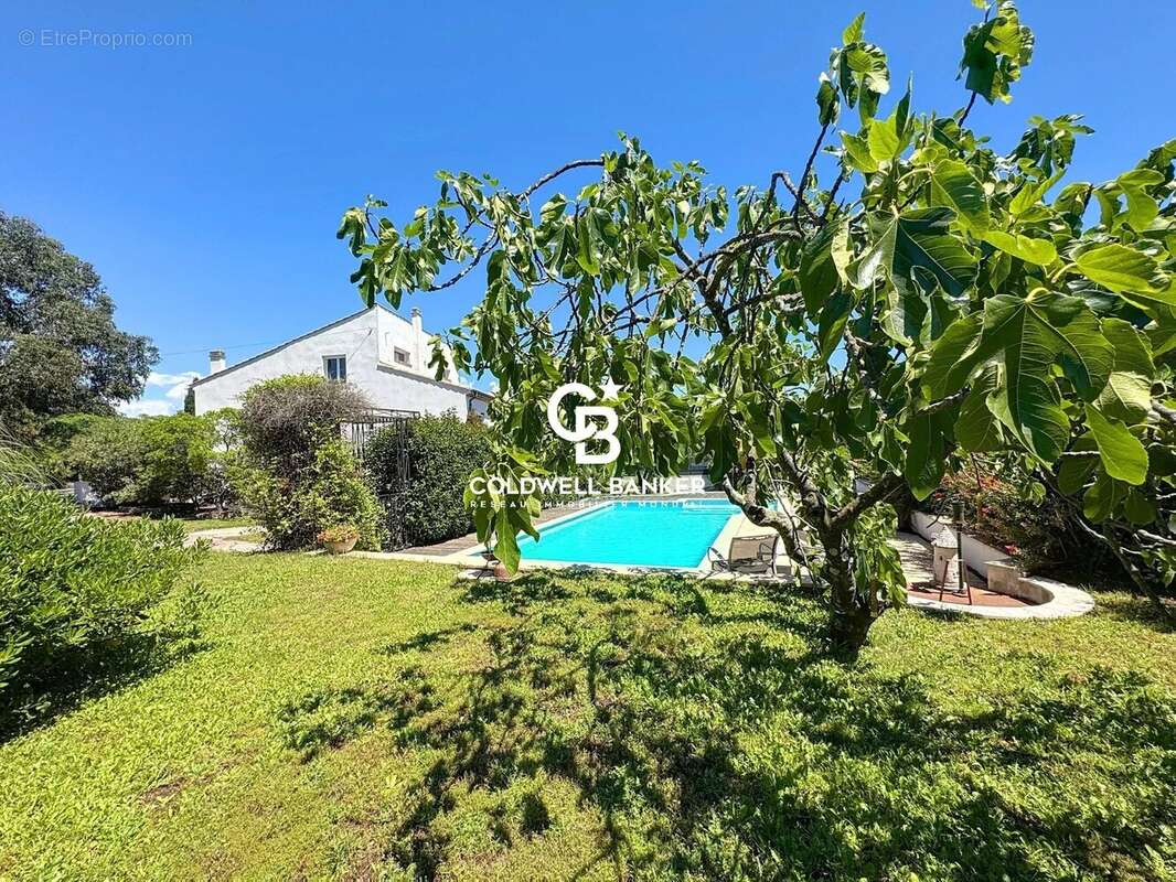 Maison à PUGET-SUR-ARGENS