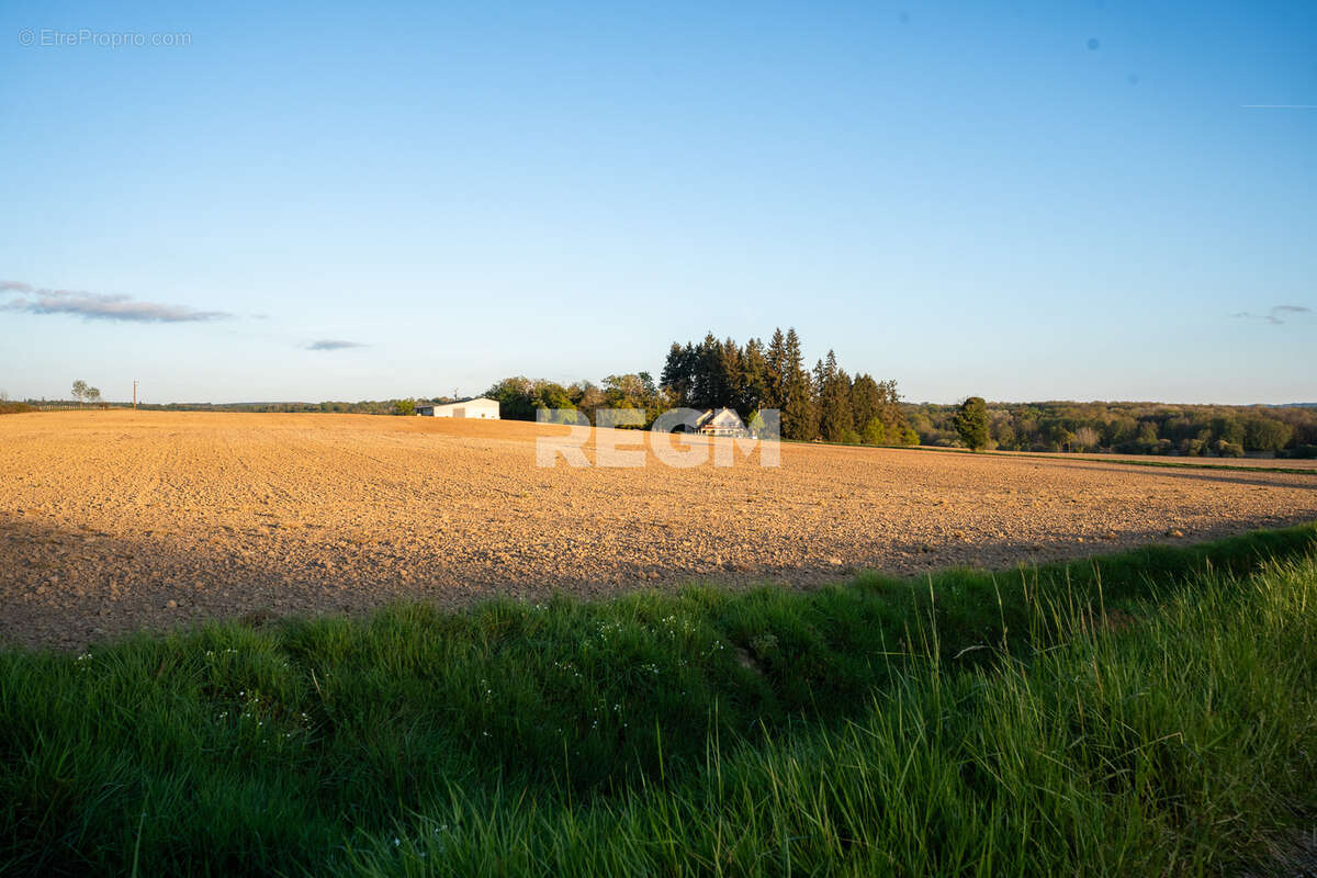 Domaine d’exception de 54,5 hectares avec maison de 300 m2, étang privé, piscine et 1 500 m2 de dépendances - photo 16