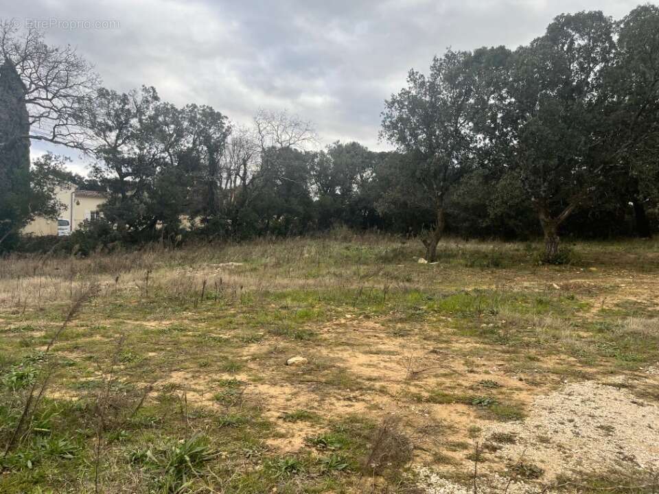 Terrain à BOLLENE