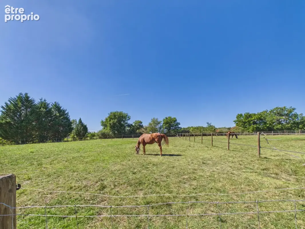 Domaine équestre idyllique avec deux maisons d'amis et 5 hectares de terrain - photo 27