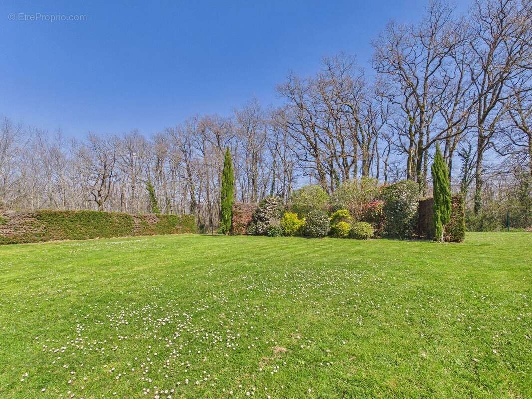 Maison à LISLE-SUR-TARN