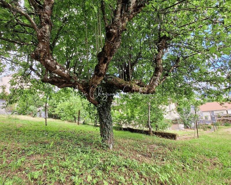 Maison à BRIVE-LA-GAILLARDE
