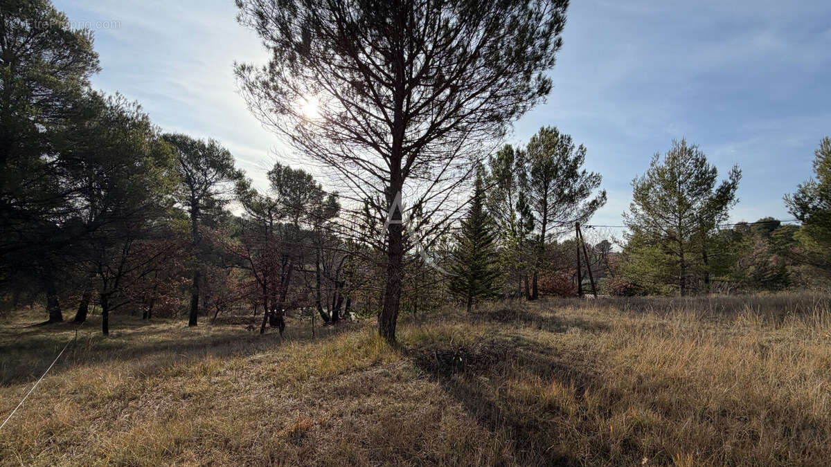 Terrain constructible de 1300m2 a pierrevert - photo 4