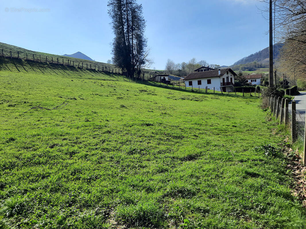 Terrain à SARE