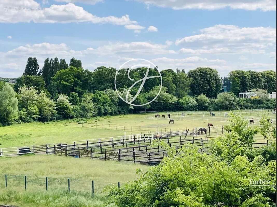 Appartement à MAISONS-LAFFITTE