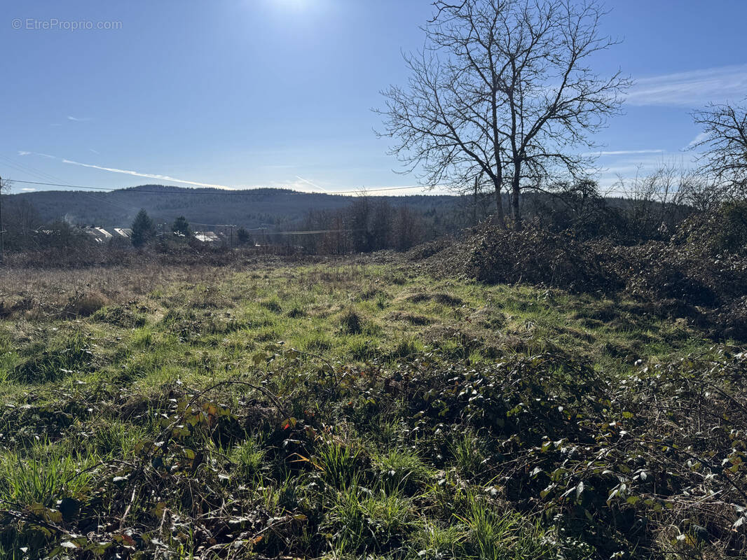 Terrain à EPIRY