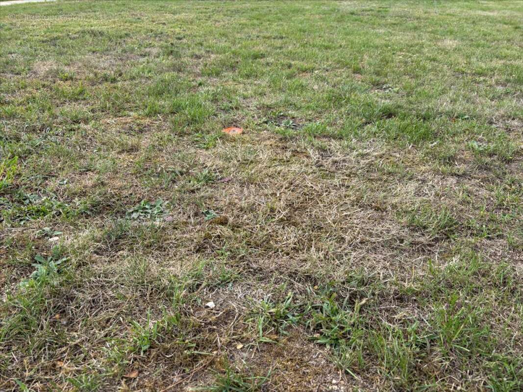 Terrain à LES DAMPS