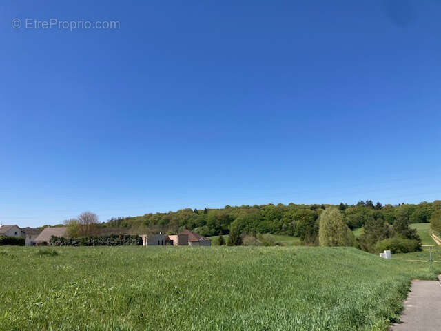 Appartement à MONTBELIARD