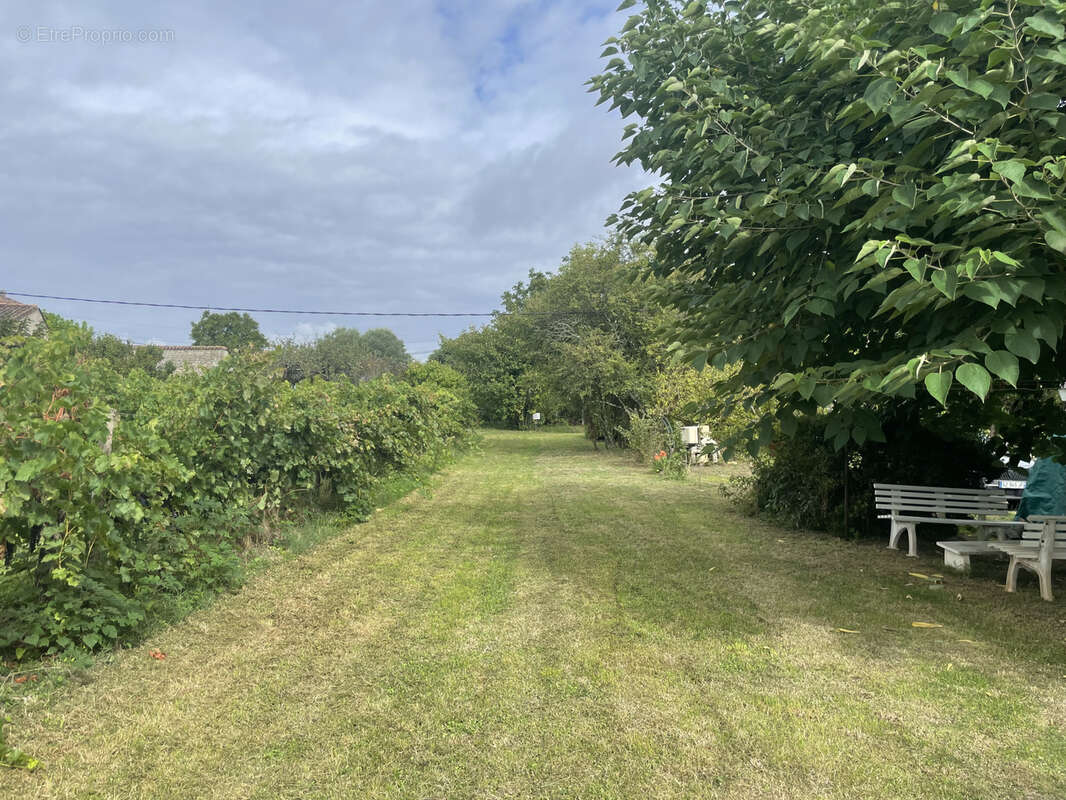 Maison à SAINT-PEY-DE-CASTETS