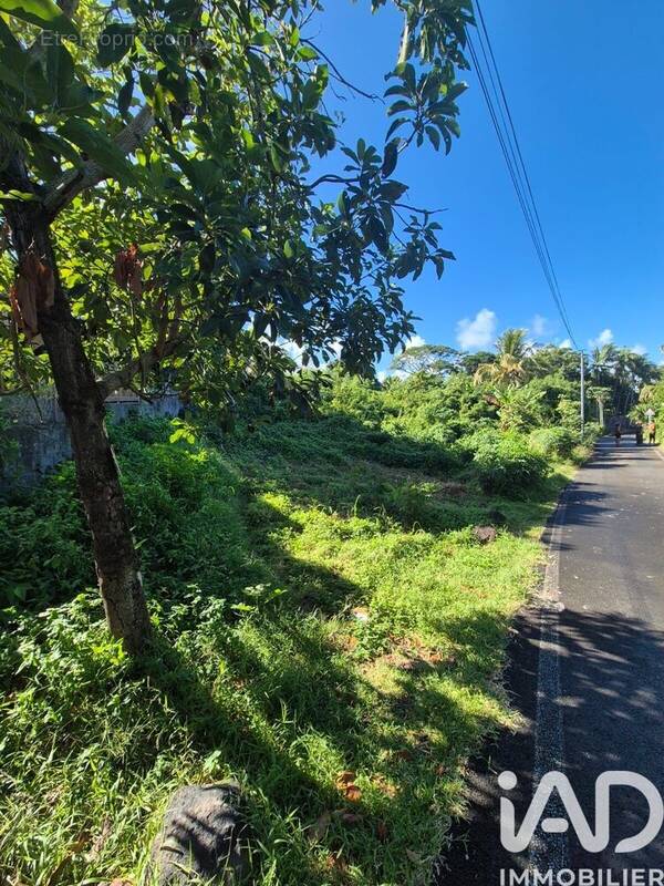 Photo 1 - Terrain à SAINT-JOSEPH