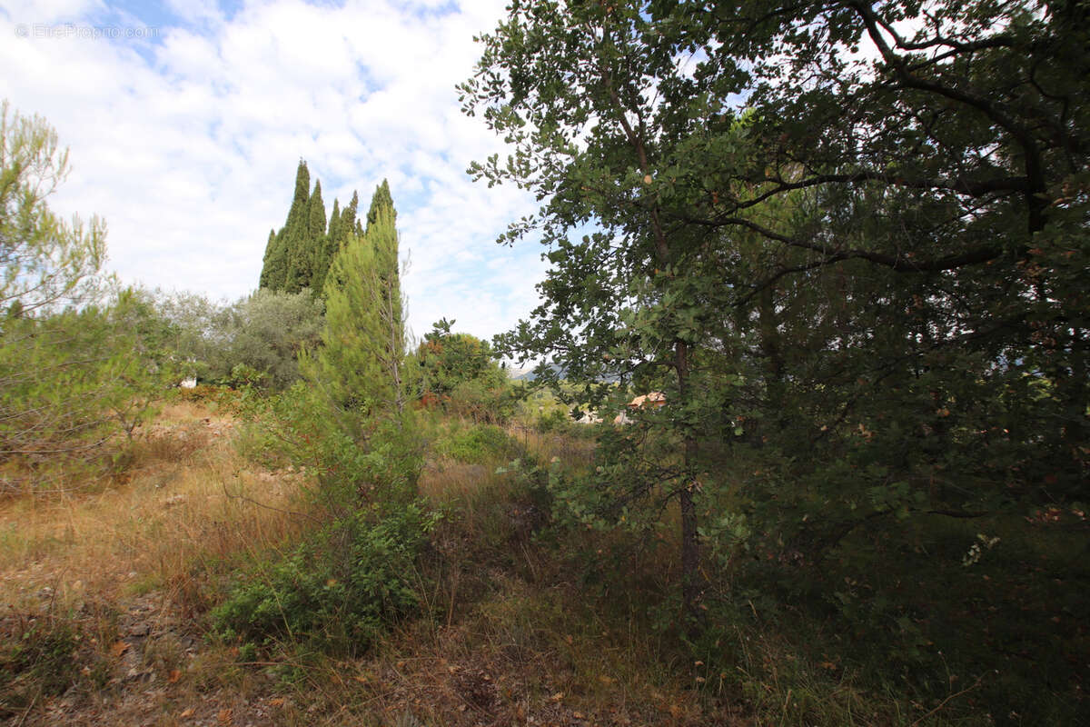 Terrain à SAINT-PAUL