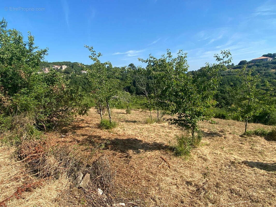 Terrain - environnement magnifique - photo 2
