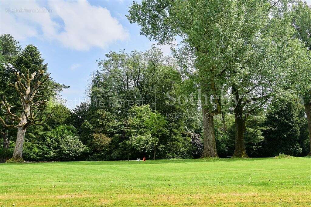 Maison à WERVICQ-SUD