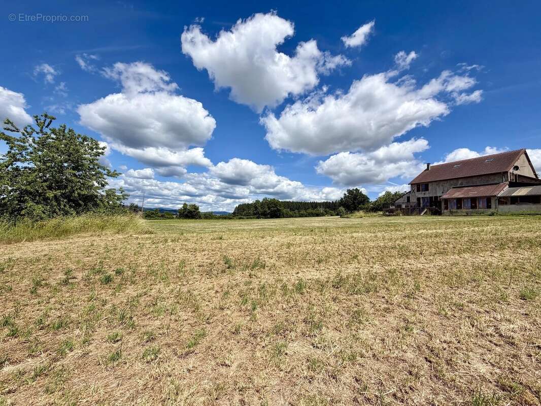 Grand ensemble, entièrement isolé avec 1,4 hectare à vendre près de Remilly - photo 62