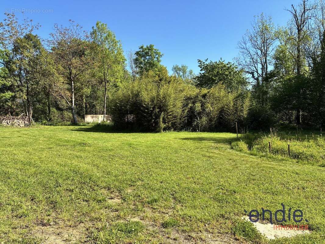 Terrain à LACOMMANDE