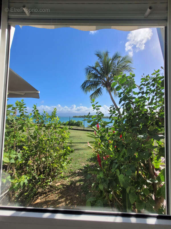 Appartement à LE GOSIER