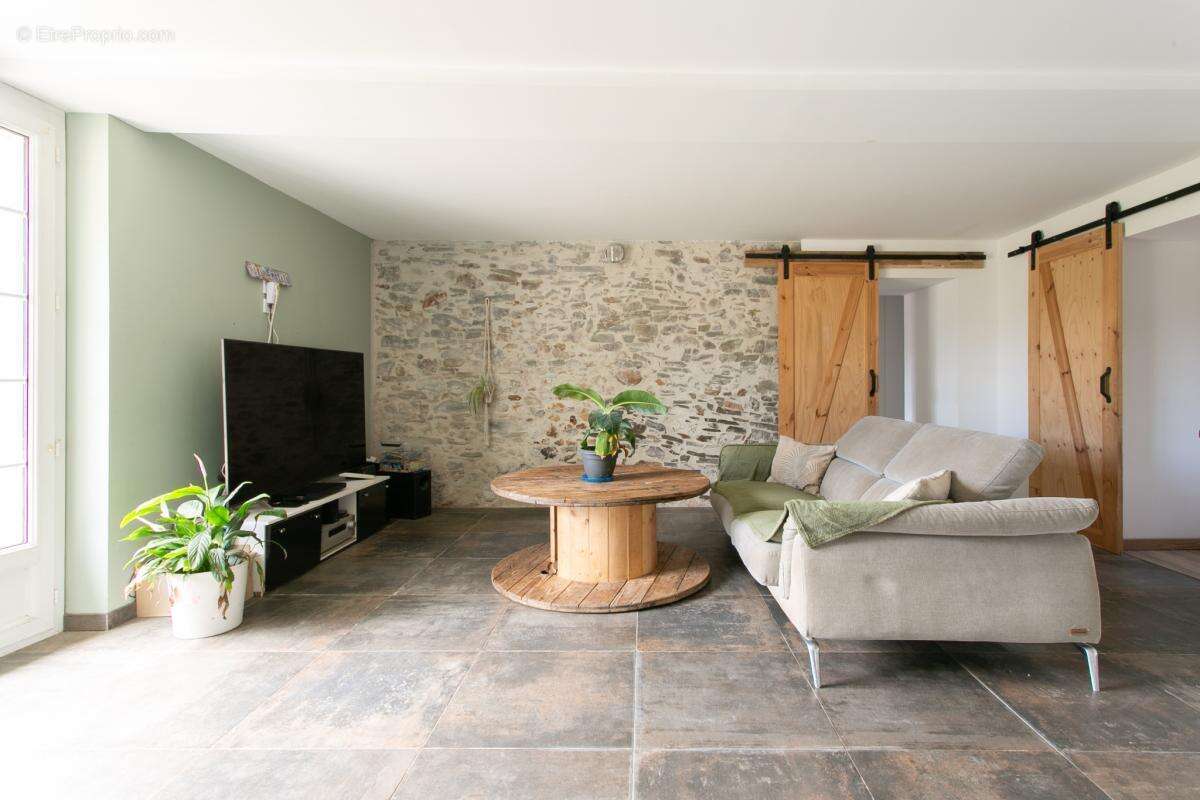 Maison+gite+hangar MESANGER aux portes d'Ancenis - photo 3