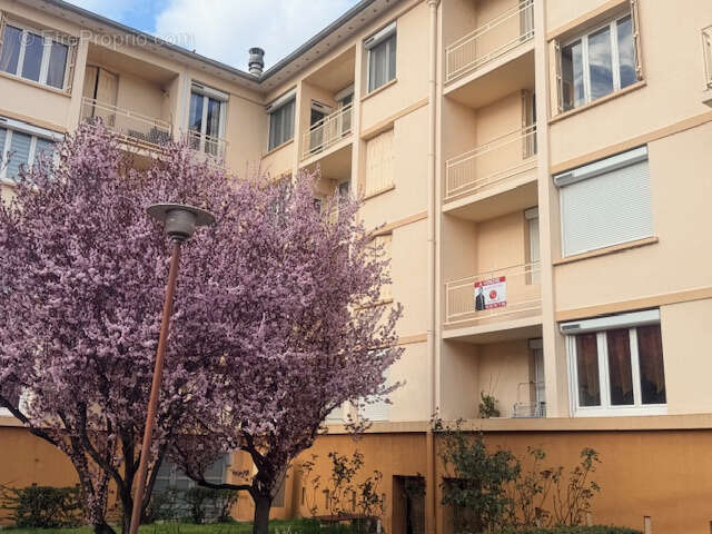Appartement à ROANNE