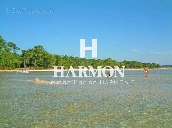 Terrain à SANGUINET